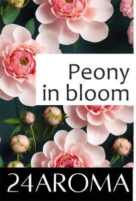Запасний блок для аромадифузору Peony in bloom R_0011 фото